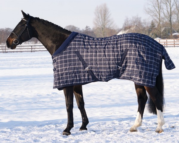 Porte couverture cheval de 13€ à 184€ - Sellerie Equitation